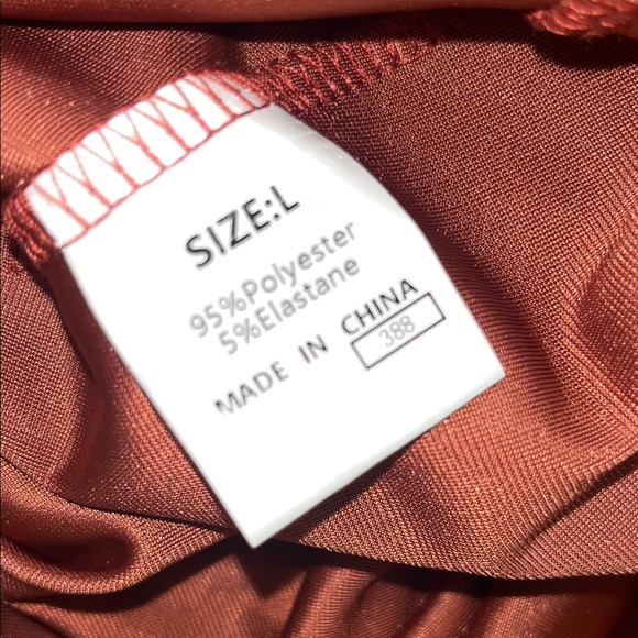 Shimmering Rust Velvet Dress - Picture 6 of 6